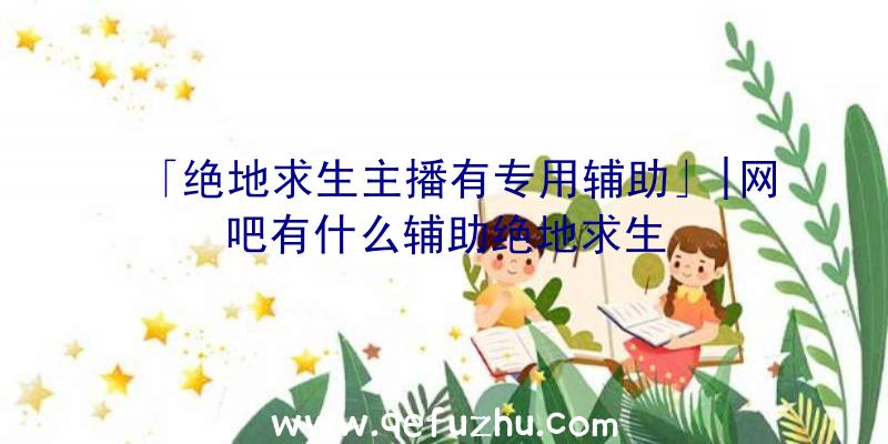 「绝地求生主播有专用辅助」|网吧有什么辅助绝地求生